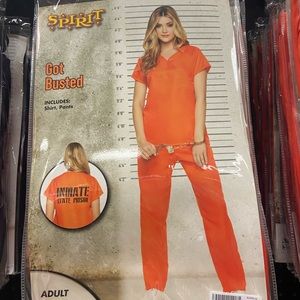 Costume, out of package. Only wore 1 day on Halloween last year.